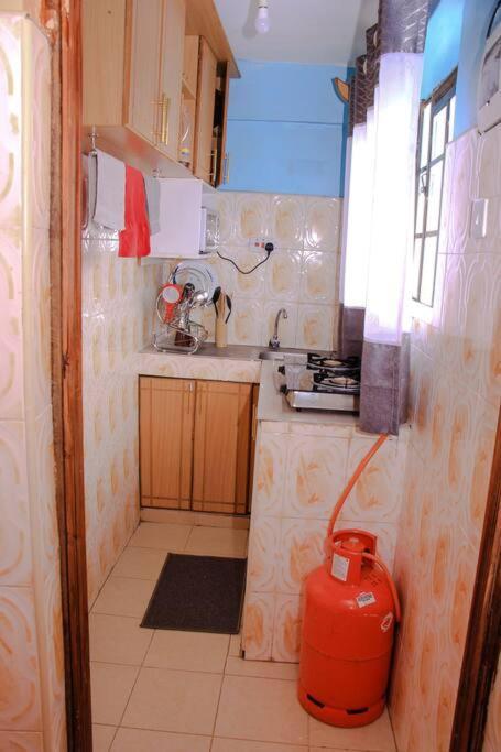 Cozy Homes 1 Bedroom House With Wi-Fi King Size Bed. Free Parking Naivasha Luaran gambar